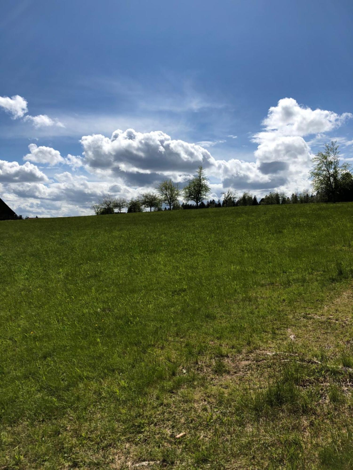 Solhof-Schoemberg Loßburg Exteriér fotografie