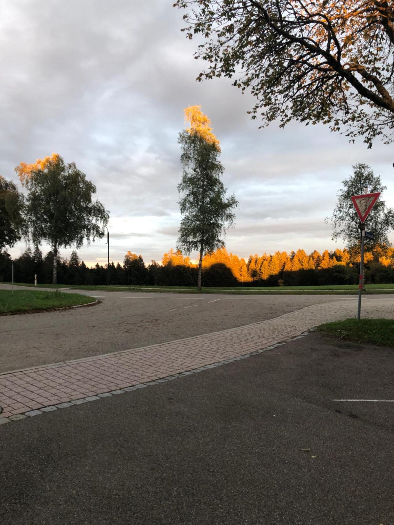Solhof-Schoemberg Loßburg Exteriér fotografie